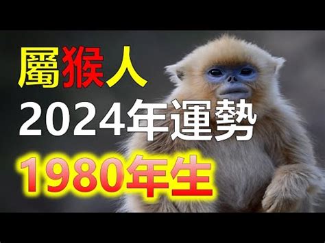 1980屬什麼生肖|【1980 生肖 屬性】1980年屬猴五行屬什麼？命運如何？